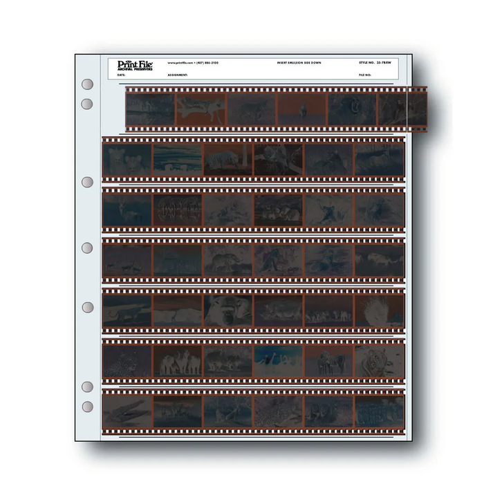 Print File 35-7BXW Archival Storage Pages for 35mm Negatives - 25 Pack