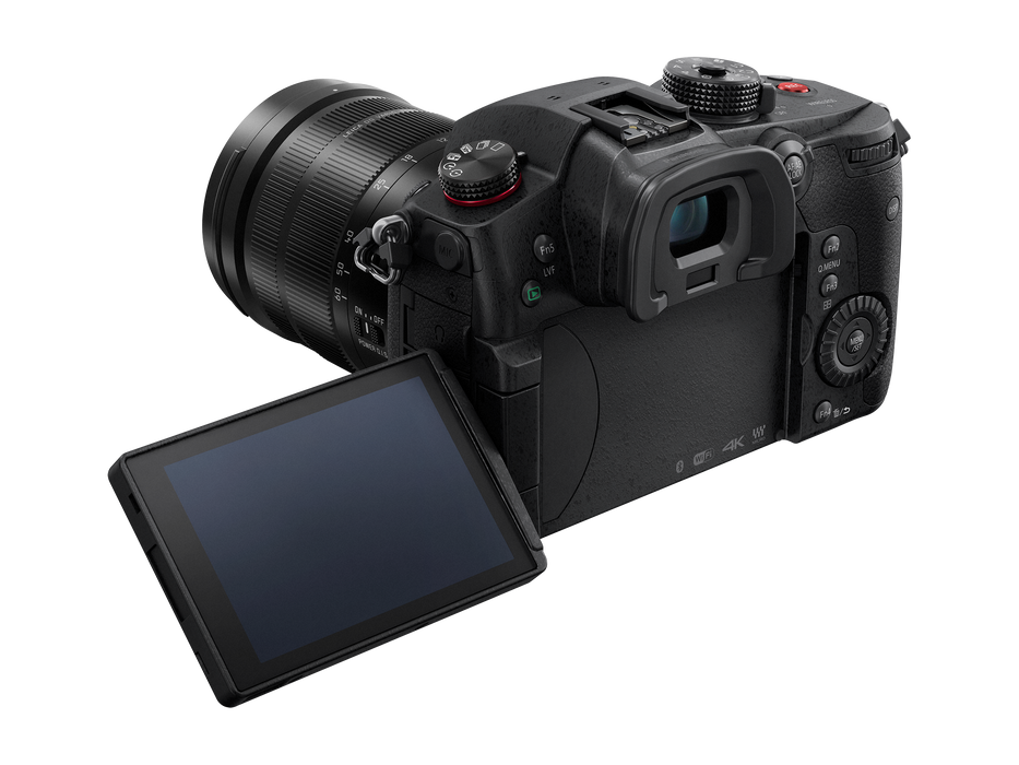 elk geroosterd brood Uitwerpselen Panasonic Lumix GH5S Mirrorless Camera — Glazer's Camera Inc